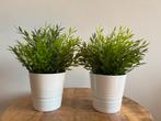 Set van 2 kunstplanten in witte pot – onderhoudsvrij groen, Rond, Ophalen of Verzenden, Zo goed als nieuw, Aardewerk