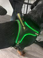 Hond harness met verlichtin, Ophalen of Verzenden, Zo goed als nieuw