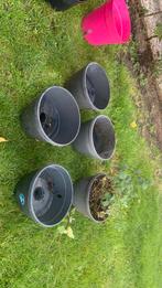 Bloempotten met reservoir, Tuin en Terras, Ophalen, Kunststof, Minder dan 30 cm, Rond