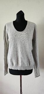 grijs cashmere trui van American Vintage maat L (8625), Kleding | Dames, Truien en Vesten, Verzenden, Maat 42/44 (L), Grijs