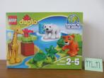 LEGO Duplo 10801 dieren baby schildpad tijger beer giraffe, Ophalen, Nieuw, Duplo