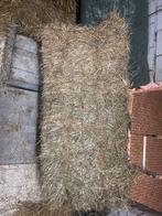 Hooi te koop, Dieren en Toebehoren, Dierenvoeding, Ophalen of Verzenden