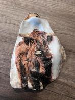 Oesterschelp met Schotse Hooglander, Ophalen of Verzenden, Schelp(en)