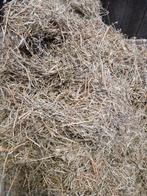 Voordroog, 5 grote balen, Ophalen of Verzenden, Vee