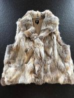 Bodywarmer maat M, Kleding | Dames, Bodywarmers, Ophalen of Verzenden, Zo goed als nieuw, Maat 38/40 (M), Bruin