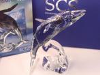 Swarovski Walvis Paikea incl, doos & certificaat & plaquette, Verzamelen, Swarovski, Ophalen of Verzenden, Nieuw, Figuurtje
