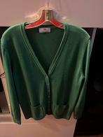 Groene Peter Hahn vest- Maat L,pure new wool, Kleding | Dames, Truien en Vesten, Ophalen of Verzenden, Zo goed als nieuw, Maat 38/40 (M)