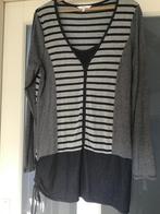 Leuke tuniek. Maat 42( Miss Etam), Ophalen of Verzenden, Zo goed als nieuw, Maat 42/44 (L), Blauw