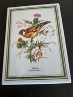 Tegeltjes met vogels 18 x 25 cm gelimiteerd, Ophalen of Verzenden
