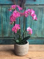 Kunstplant orchidee roze in stenen pot (NIEUW), Nieuw, Ophalen of Verzenden