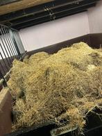 Gratis strooisel hooi, Dieren en Toebehoren, Ophalen of Verzenden, Vee
