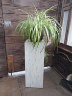 Houten plantenzuil, Huis en Inrichting, Woonaccessoires | Zuilen en Pilaren, Ophalen, Zo goed als nieuw