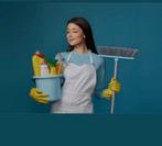 Leuke schoonmaakster, Vacatures, Starter, Overige vormen