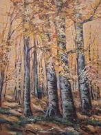 Aquarel Boslandschap door Willem Mauve, Antiek en Kunst, Ophalen of Verzenden