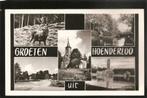 Hoenderloo, groeten uit, Verzenden, 1960 tot 1980, Ongelopen, Gelderland