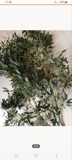 Mooie, verse eucalyptus ter decoratie,kerst, de laatste!!, Tuin en Terras, Ophalen of Verzenden, Overige soorten