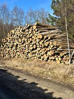 STAMMEN LEVERBAAR! | EIKEN, BEUKEN EN BERKEN | CA. 50 STÈRE, Tuin en Terras, Haardhout, 6 m³ of meer, Verzenden, Stammen