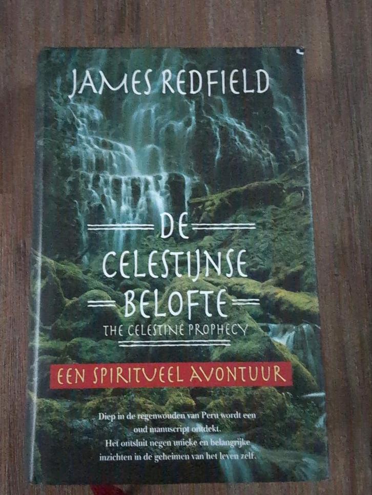 De Celestijnse Belofte - James Redfield, Boeken, Esoterie en Spiritualiteit, Gelezen, Verhaal of Roman, Spiritualiteit algemeen