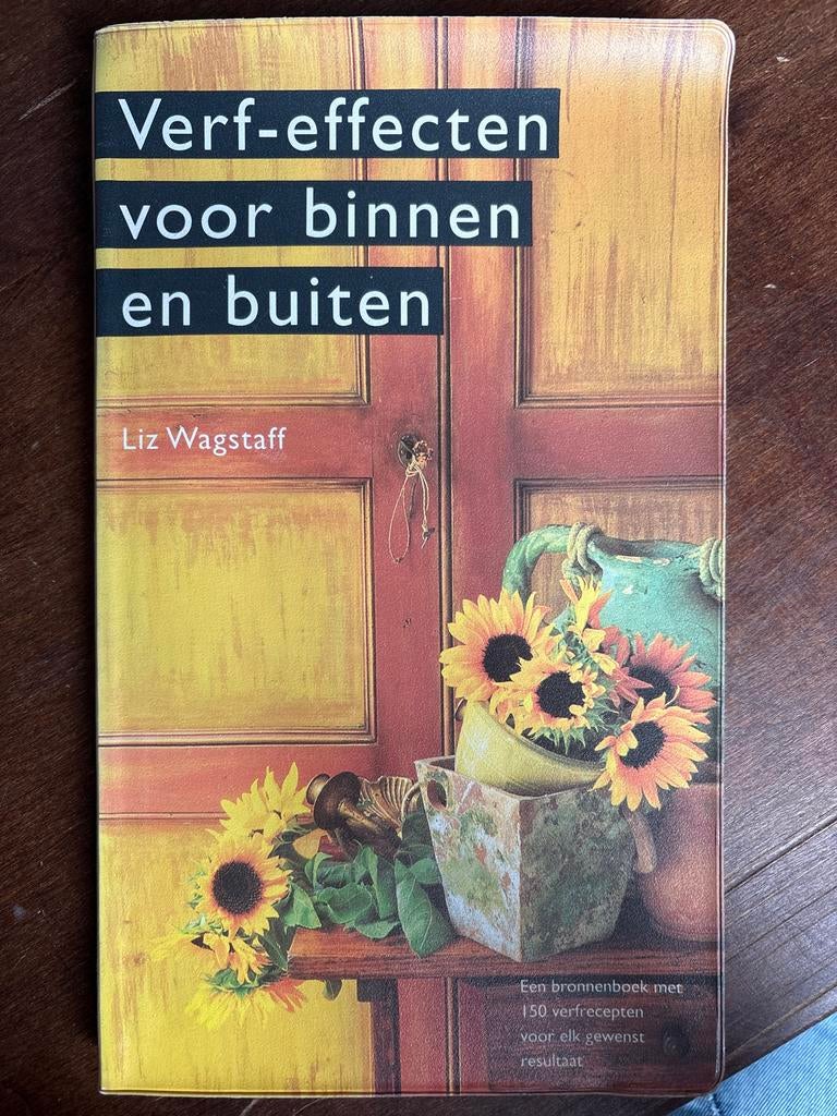 Verf effecten voor binnen en buiten - Liz Wagstaff, Ophalen of Verzenden, Gelezen, Interieur en Design