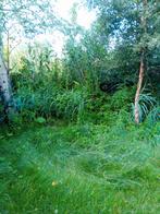 Tuinman/hovenier/tuinhulp aangeboden, Tuin en Terras, Ophalen of Verzenden
