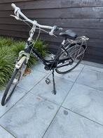 Gazelle Paris Plus - Damesfiets, Ophalen, Versnellingen, Gazelle, 53 tot 56 cm