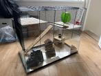 Grote glazen hamsterkooi, Kooi, Hamster, 60 tot 90 cm, Ophalen of Verzenden