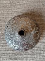 Zilveren platte vaas, Overige kleuren, Ophalen of Verzenden, Minder dan 50 cm, Glas