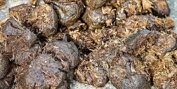 Paardenmest gratis afhaken- Natuurlijke Meststof beschikbaar voor biedingen