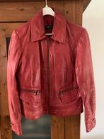 Rood kalfs leren gevoerde Arma jas maat 38, Kleding | Dames, Jassen | Winter, Ophalen of Verzenden, Zo goed als nieuw, Maat 38/40 (M)