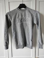 2x Nike air Jordan trui grijs, Ophalen of Verzenden, Zo goed als nieuw, Jongen, Trui of Vest