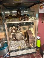 Terrarium / hamsterkooi, Dieren en Toebehoren, Ophalen, Kooi, Gebruikt, 60 tot 90 cm