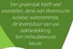 Sedum groendak cassettes met mooie mix van plantjes, Ophalen of Verzenden, Zomer, Overige soorten, Volle zon