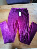 Velours broek paars My Jewellery, Kleding | Dames, Broeken en Pantalons, My Jewellery, Paars, Maat 42/44 (L), Nieuw