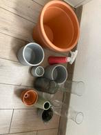Gratis Bloempotten en Vazen, Tuin en Terras, Bloempotten, Ophalen, Gebruikt, Rond, Binnen