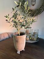 Luksa pot + olijfboom, Tuin en Terras, Bloempotten, Ophalen of Verzenden, Zo goed als nieuw, Rond, Aardewerk