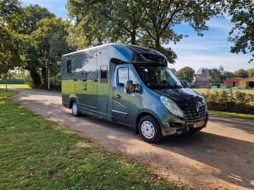 Renault Master Occasion paardenwagen voor 2 paarden automaat beschikbaar voor biedingen