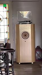Lii Song Luidspreker, Audio, Tv en Foto, Luidsprekers, Ophalen, Zo goed als nieuw, Front, Rear of Stereo speakers, Overige merken