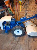 Tuinfrees, Ophalen of Verzenden, Nieuw