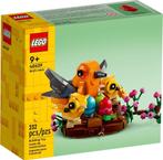 Lego 40639 Vogelnestje NIEUW, Kinderen en Baby's, Speelgoed | Duplo en Lego, Lego, Lego, Nieuw, Ophalen of Verzenden