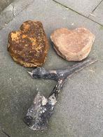 Mammoet wervel / delen, Verzamelen, Mineralen en Fossielen, Ophalen of Verzenden, Fossiel