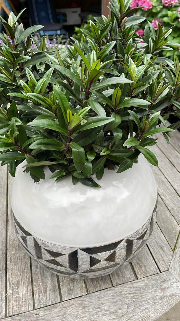 2 stuks grote Witte Todo Mundo Bloempot, Wit, Aardewerk of Porselein, Ophalen of Verzenden, Zo goed als nieuw