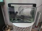 60 liter aquarium, Ophalen, Leeg aquarium