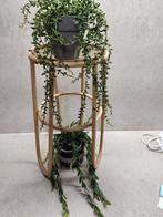 Plantentafeltje , rotan, Huis en Inrichting, Woonaccessoires | Krantenbakken en Lectuurbakken, Gebruikt, Ophalen of Verzenden