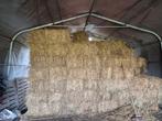 Kleine hooibaaltjes te koop voor paarden, Dieren en Toebehoren, Ophalen