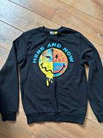 Smiley World Trui Maat 158/164 NIEUW, Kinderen en Baby's, Kinderkleding | Maat 146, Jongen of Meisje, Trui of Vest, Nieuw, Ophalen of Verzenden