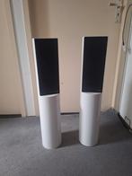 Vintage V Vox Tanga, Gebruikt, Minder dan 60 watt, Front, Rear of Stereo speakers, Ophalen