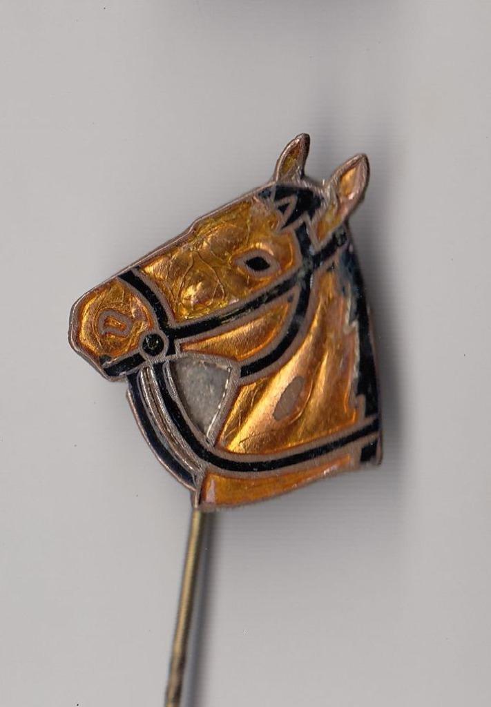 Paard emaille speldje, Verzamelen, Speldjes, Pins en Buttons, Gebruikt, Speldje of Pin, Overige onderwerpen, Ophalen of Verzenden