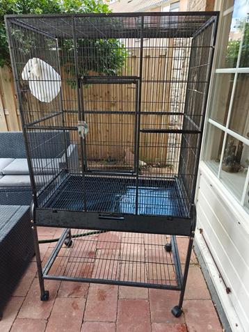 Grote rattenkooi beschikbaar voor biedingen