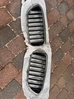 BMW nieren - schadevrij - G30, Gebruikt, Voor, Bmw, Ophalen of Verzenden
