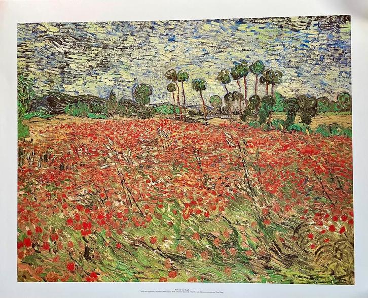 Vincent van Gogh, Veld met papavers,Auvers sur Oise, Verzamelen, Posters, Gebruikt, Rechthoekig Staand, Ophalen of Verzenden